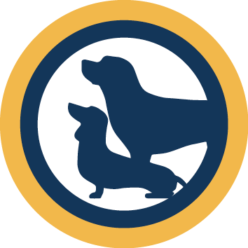 Trainer DB – Logo